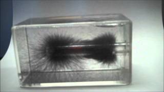 Magnetic Field lines, 3D