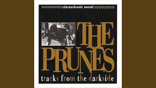 Music video thumbnail preview for Theme Pt. 1 (Makes You Schitt) by The Prunes