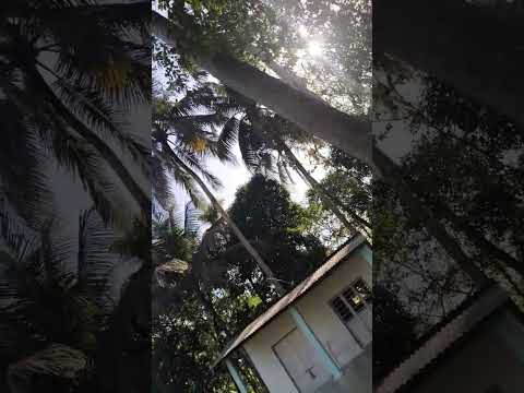 Zhora Jabeen...new song.. Salman Khan.. reshika mandana...#salamkhan#trending #songs