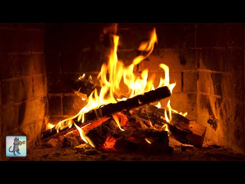 🔥 12 HOURS of Cozy Fireplace Sounds in 4K | Crackling Fire & Burning Wood Ambience (NO Music)