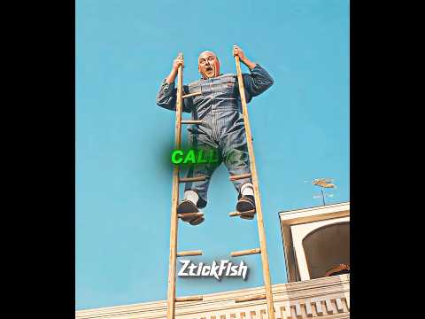 These guys have 120IQ combined | Three stooges | #edit #movieedits #comedy