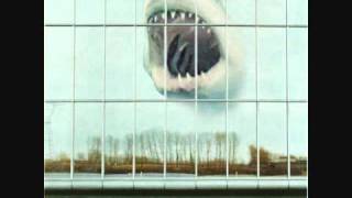 Black Mountain   The Hair Song