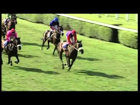 Clairwood 11082013 race 4