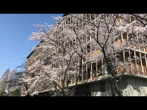 フランス語学科 sakura 2021