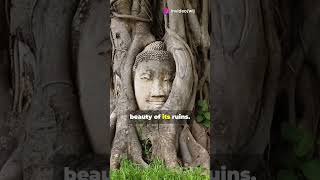 Discover Ayutthaya Historical Park: Thailand’s Ancient Capital