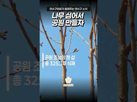 연수구의회도 나무 심고 왔습니다