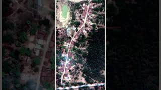 LINEAR TYPE OF SETTLEMENT #geography #settlements #rurallife #underdevelopment #forest #triballife