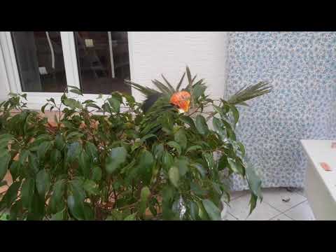 Bernie duscht 24 01 2019