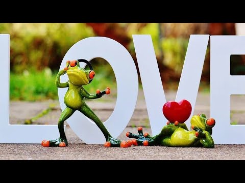 Zigeunerkarten / Liebes Legung 💘💘/ 09.03.2020💘💘