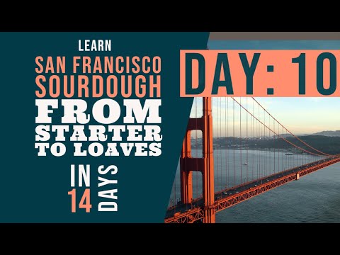 San Francisco Sourdough Bread Series: Day 10 - What makes San Francisco Sourdough Bread special?