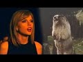 Marmot sings Taylor Swift: I Knew You Were ...