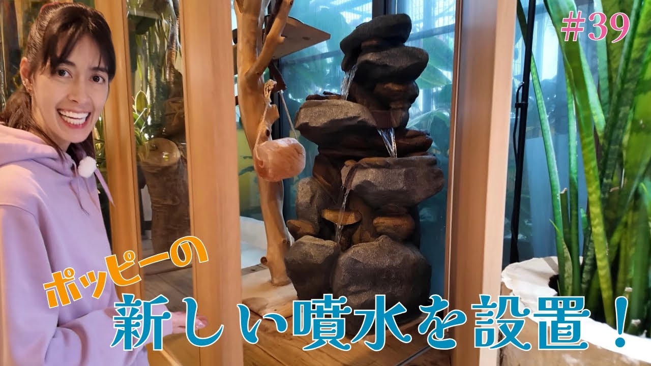 #39 ポッピーの新しい噴水を設置！