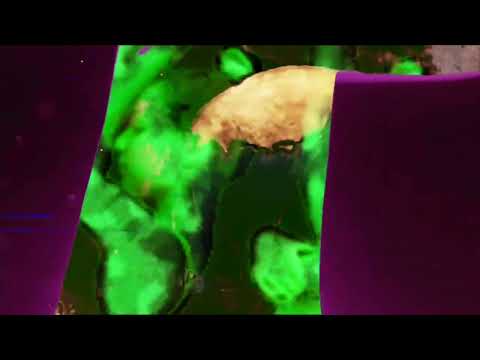 video frame placeholder