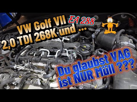 VW Golf VII 2,0 TDI EA 288 mit fast 300k und sonst so ???#automobile