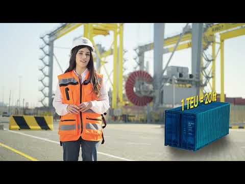 שואוריל הגשה - שיווקי והדרכה