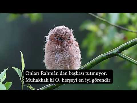 Ruhunuzu Dinlendirecek Muhteşem Tilavet - Mülk Suresi