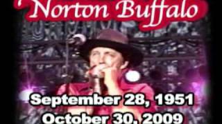 LIVEN IN THE VALLY OF THE MOON - NORTON BUFFALO.wmv