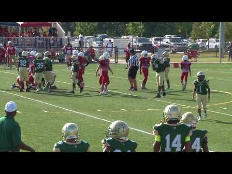 Grayson AS (Lane) vs. Archer AS (2-1, Armetus) - 12U |9.8.18| Harbins Park