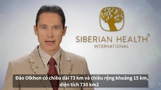 Tổng quan các loại trà thảo mộc của Siberian Wellness