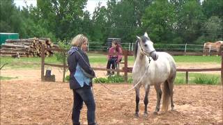 Seminārs 26.05 Baldonē, JSK "Atēna"