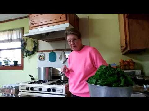 Pressure Canning Mustard Greens   Step by Step From Garden to Jar