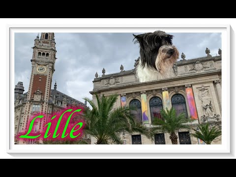 🇫🇷 Lille - mit Wohnmobil, Hund und Katze in die schönsten Städte Frankreichs - Sommer 2022
