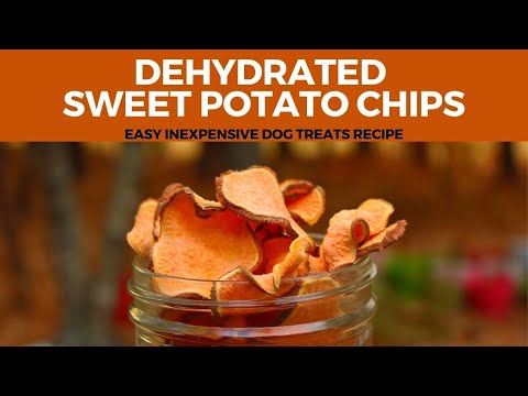 YouTube video about: How to dehydrate sweet potatoes for dogs?