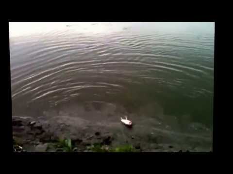 River Carp fishing Easy slow drift float technique fish on part 2