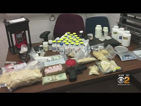 ニューロシェルの麻薬捜査で数十人を逮捕 (Dozens Arrested In New Rochelle Drug Bust)