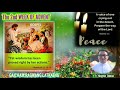 Jisu Guangmei Gan Ta Thai Khang Matthew 11 16 19 Rongmei Catholic Daily Reading Reflections
