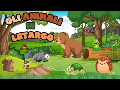 Animali in Letargo! 🐻❄️ Scopri Chi Dorme per Tutto l'Inverno!