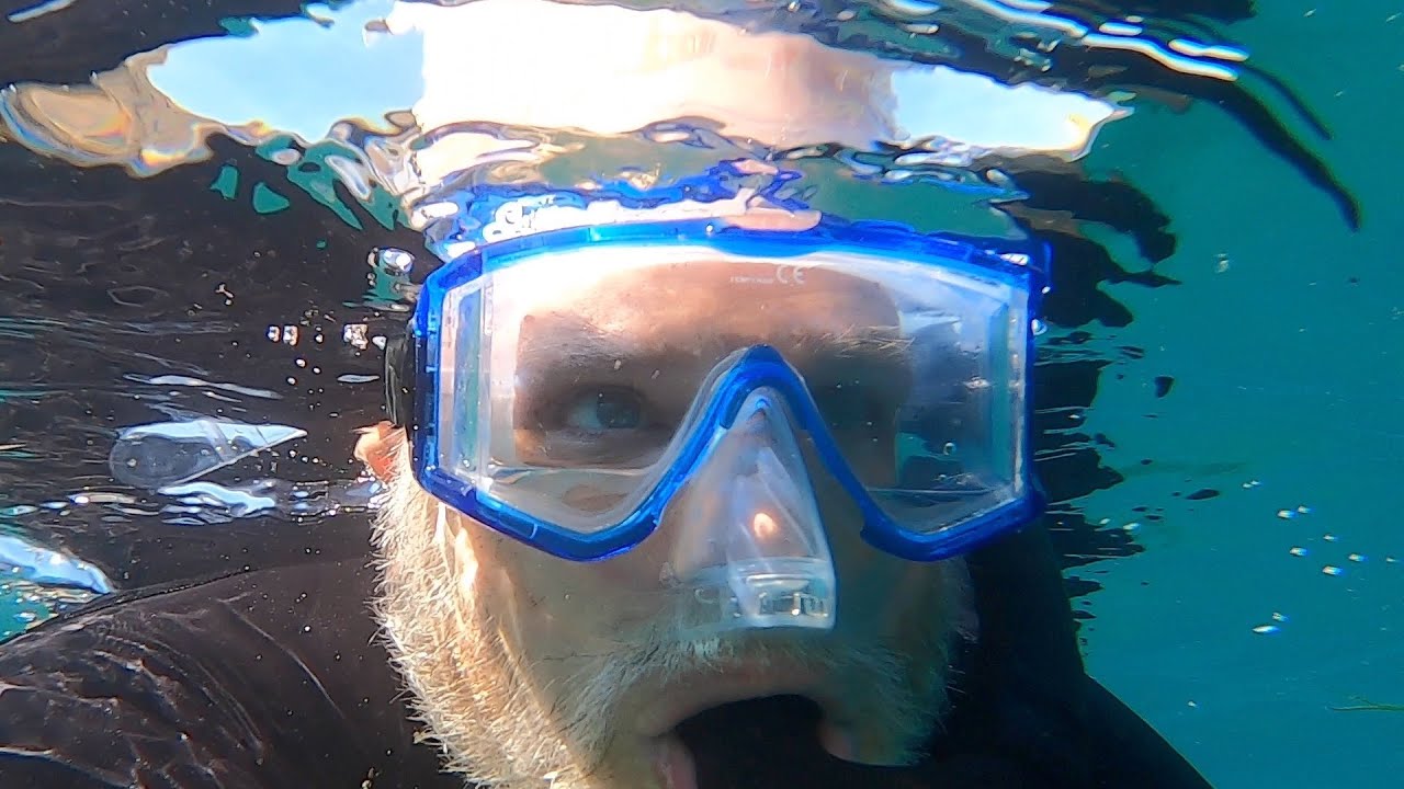 Sailing to Hen Rock, Catalina (August 2020)