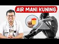 PENYEBAB AIR MANI BERWARNA KUNING DOKTER SADDAM ISMAIL