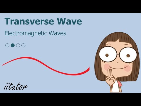 YouTube video about: What waves are transverse waves that disturb electromagnetic fields?