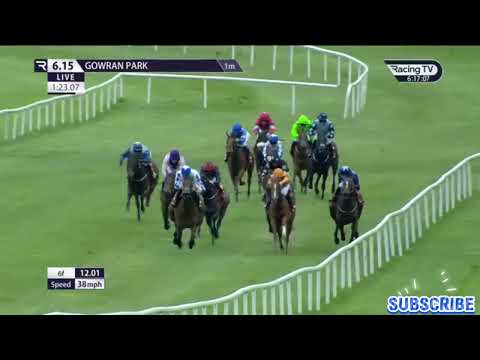 ( AMEILYA) 5 Race Gowran park 24 Apr 2024