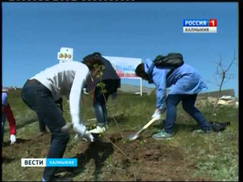 Вести «Калмыкия»: выпуск 27.04.2015 на калмыцком языке