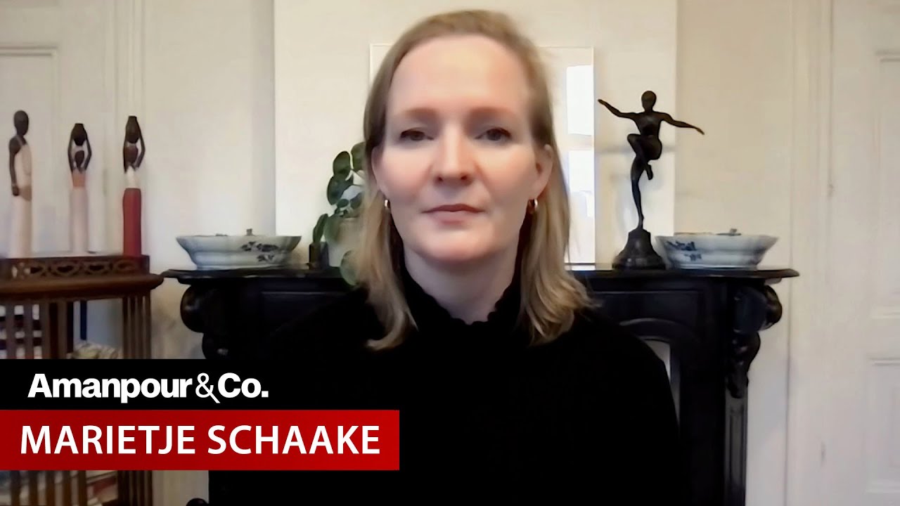 “The Tech Coup:" Expert Warns of Silicon Valley’s Influence on Washington | Amanpour and Company