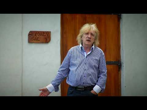 ZDENĚK KRÁSNÝ - Tulipány z Amsterodamu