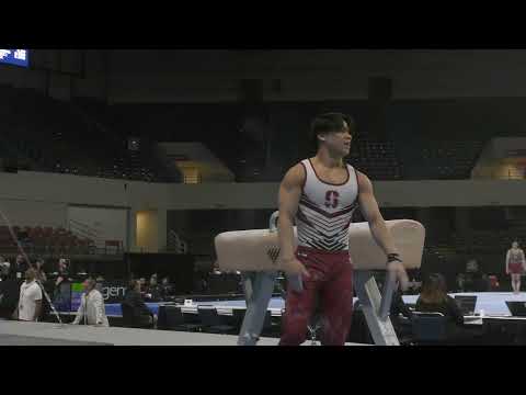 Asher Hong - Pommel Horse - 2023 Winter Cup - Senior Men Day 1