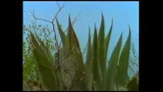 Vete con el-Valentin Elizalde