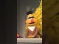 Classic Sesame Street Big Bird Wrecks Ernie Bert S Apartment