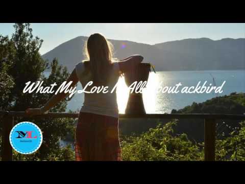 What My Love Is All About By Martin Carlberg [Traditional Blues Music]