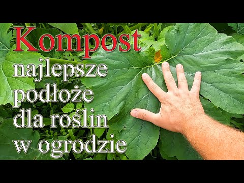 Dlaczego kompost jest najlepszym podłożem dla roślin w ogrodzie? - Ogrodowe pierdamony 162