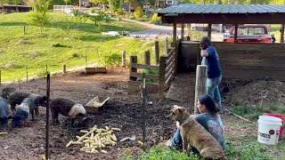 It’s a Beautiful Day | Homestead Vlog | April 25, 2025