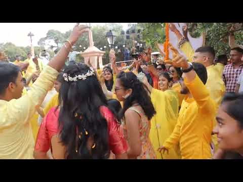 Mrunalini Chaturvedi  Haldi