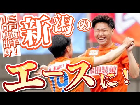 アルビコーラ・サピドゥスについて詳しく解説