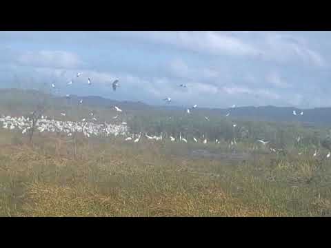 Humedal Corral de Piedra, diciembre 2025