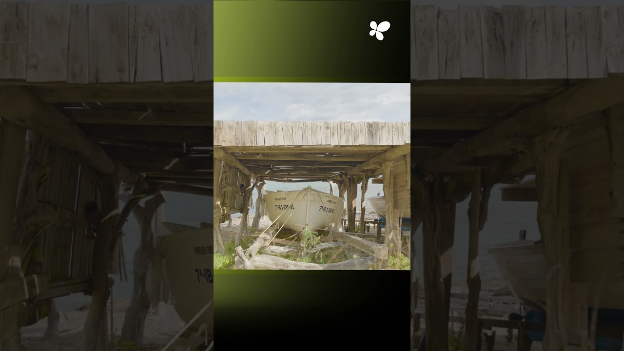 Proyecto de renovación del pavimento y servicios diversos de infraestructura en Es Pujols