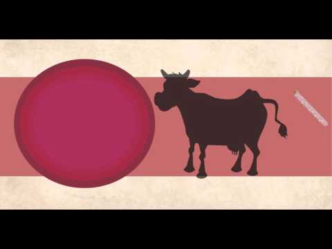 Comercial Marmoleo/GRAPHIC INNOVATION