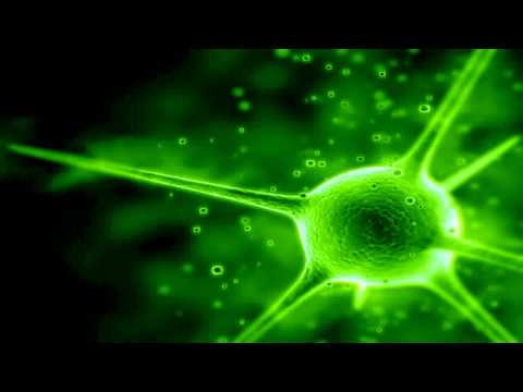 BassGroW - Construct